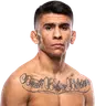 Mario Bautista