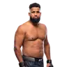 Waldo Cortes Acosta