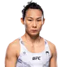 Yan Xiaonan
