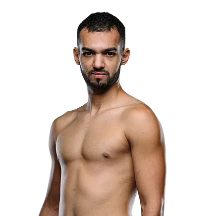 Hicham Zerouali
