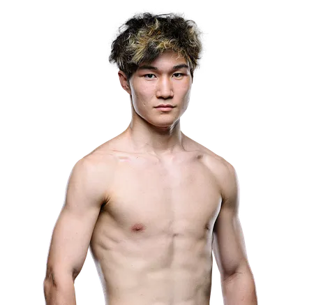Hong Chengzhi