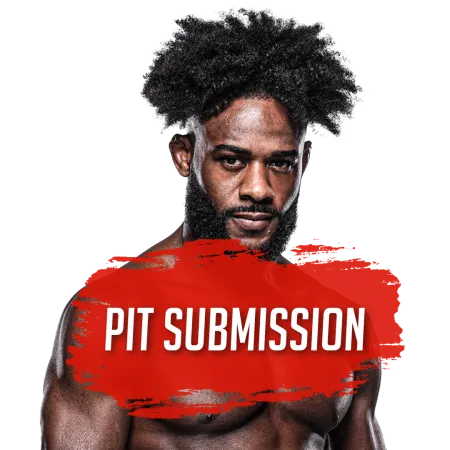 Aljamain Sterling