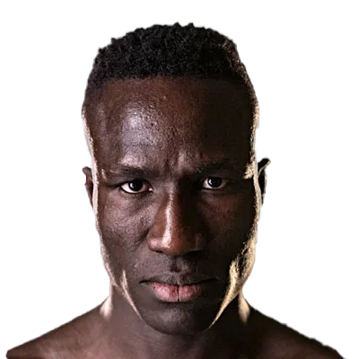 Elhadji G Ndour